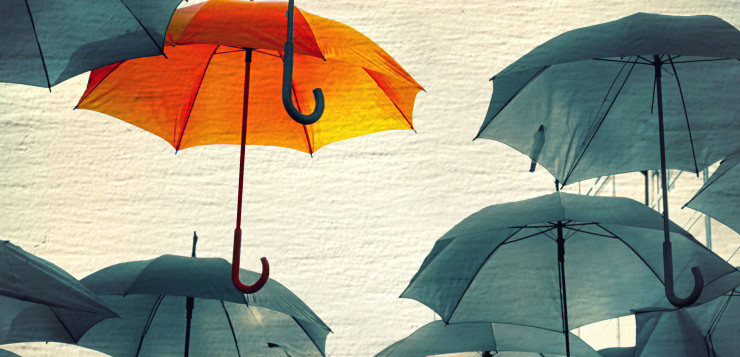 vician_petar/Dollar Photo Club