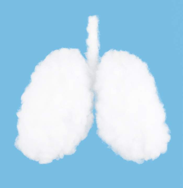 illustration of blue lungs