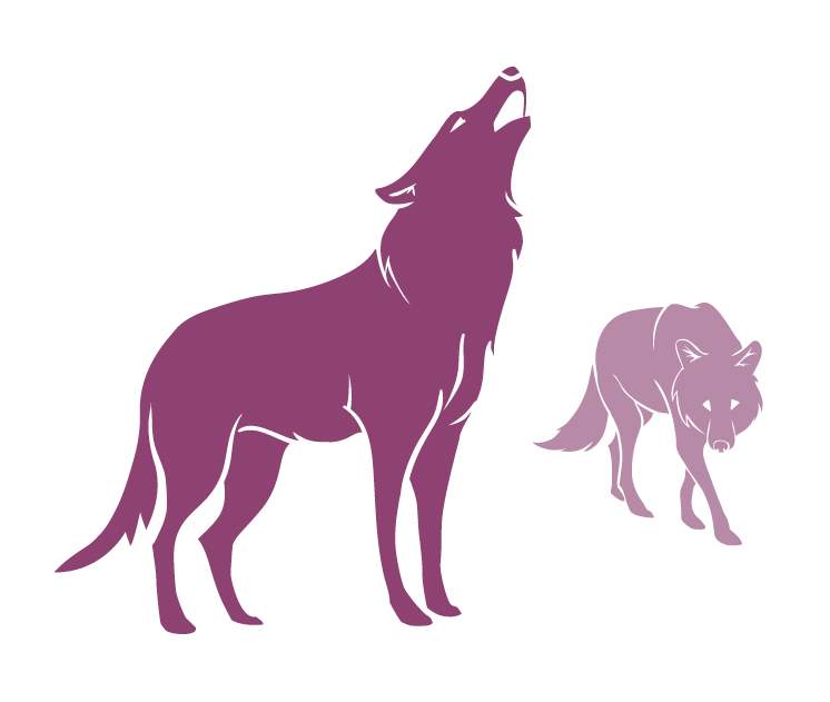 illustration wolves