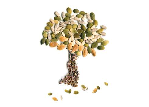 A tree made out of seeds and nuts.