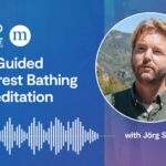 Jörg Sprave: A Guided Forest Bathing Meditation