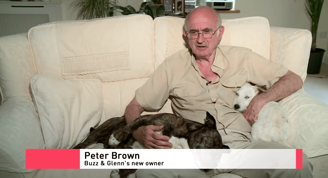 man with his adopted dogs Airbnb