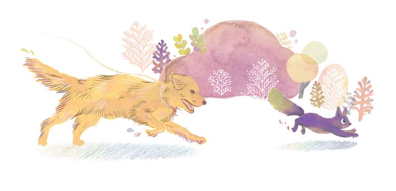 illustration of dogs running
