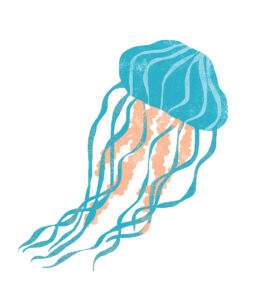 illustration of jellyfish