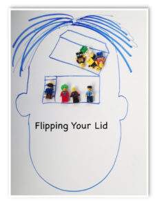 Flipping your lid