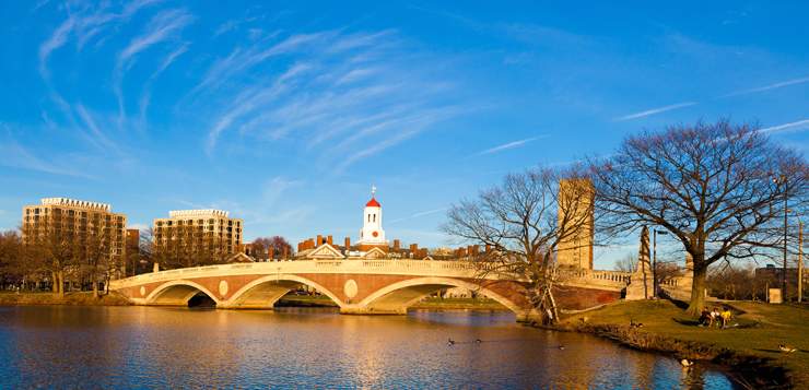 Building Resilience at Harvard