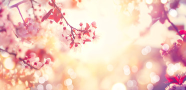 5-Minute Spring Awakening Practice—In Honor of Earth Day