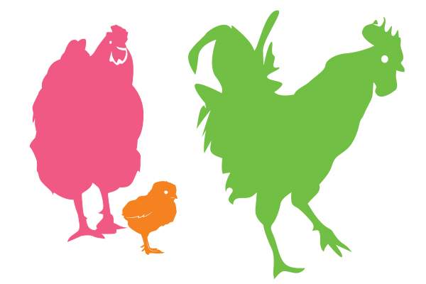 illustration of chickens