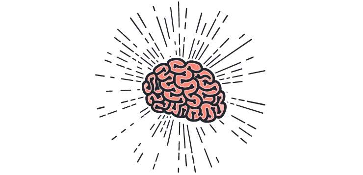 illustration of brain