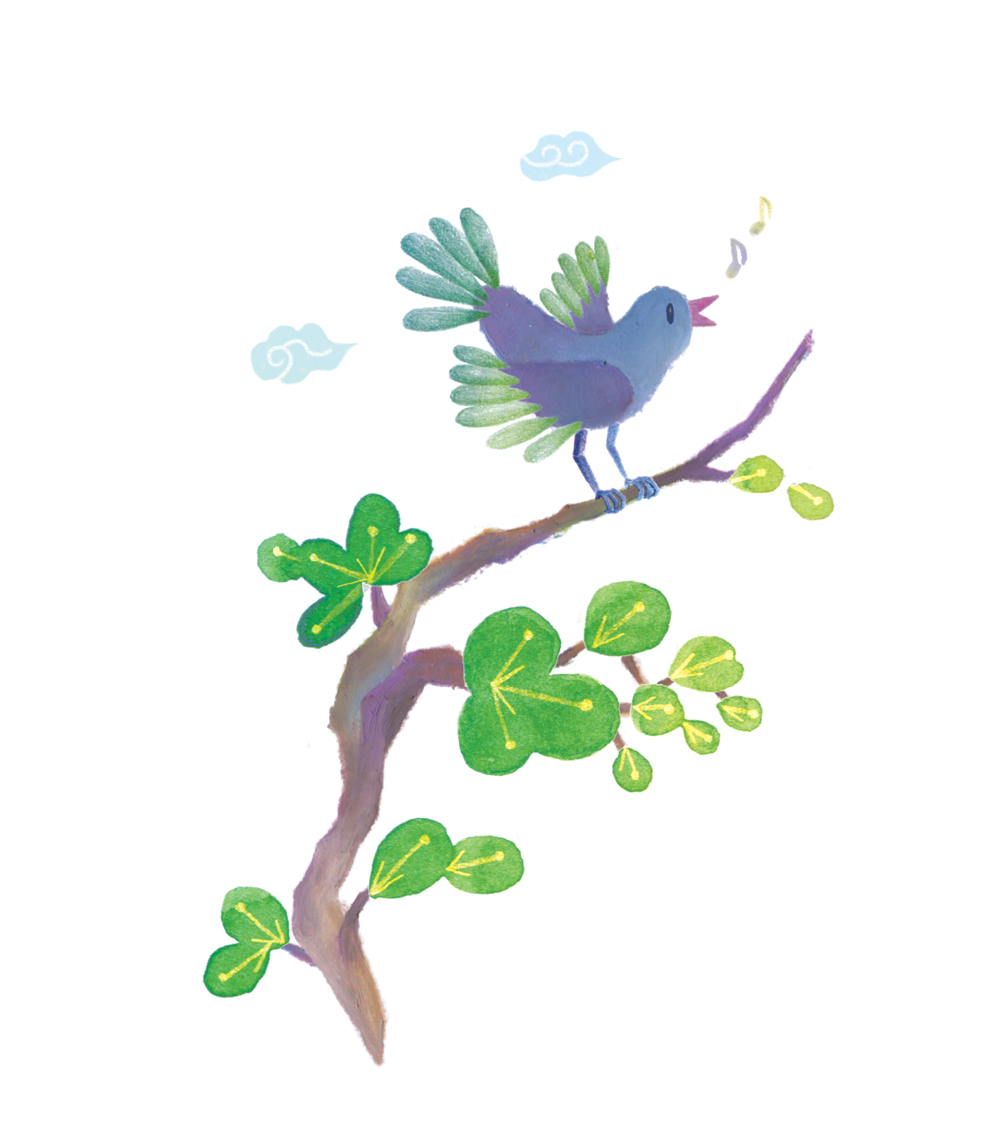 illustration of bird