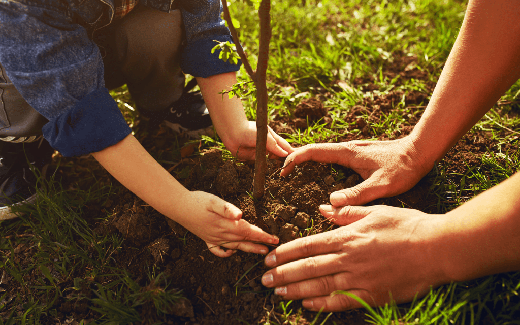 A 12-Minute Meditation on Abundance in Nature