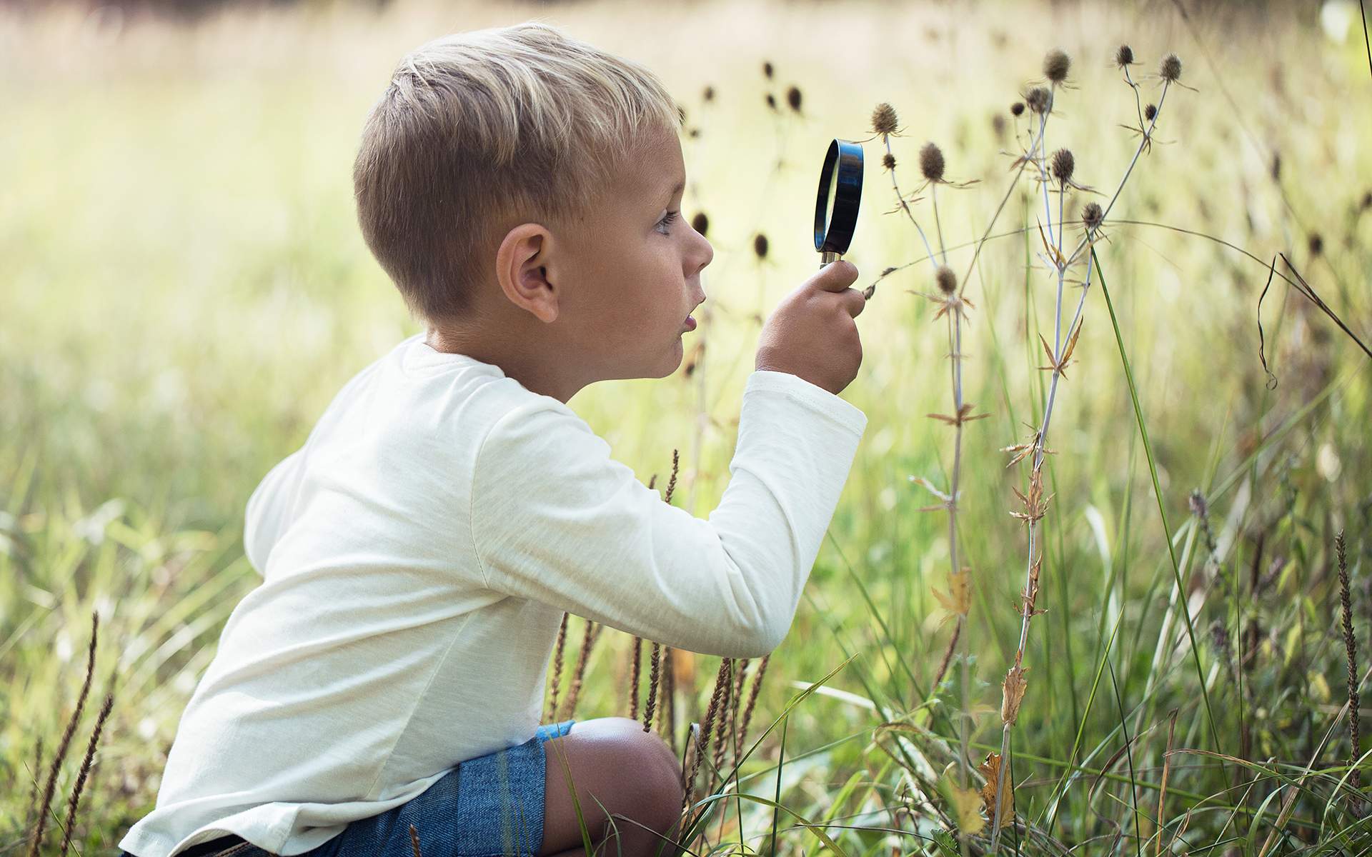 A 12-Minute Meditation to Let Curiosity Lead the Way