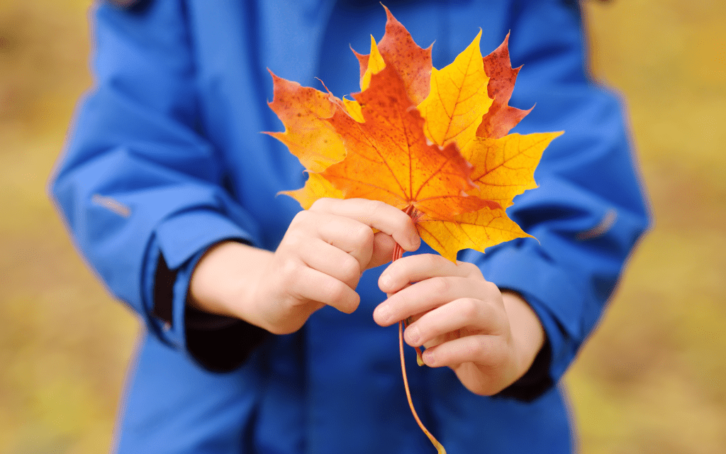 A 12-Minute Meditation to Cultivate Gratitude for Small Things