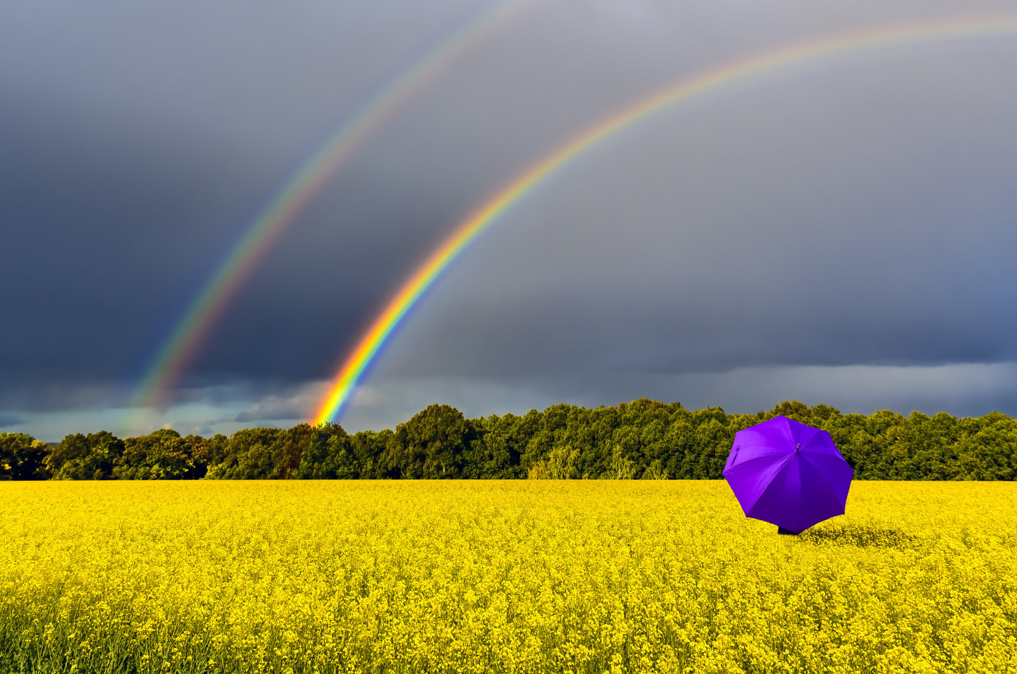 How to Practice Gratitude Mindful How to Practice Gratitude Mindful