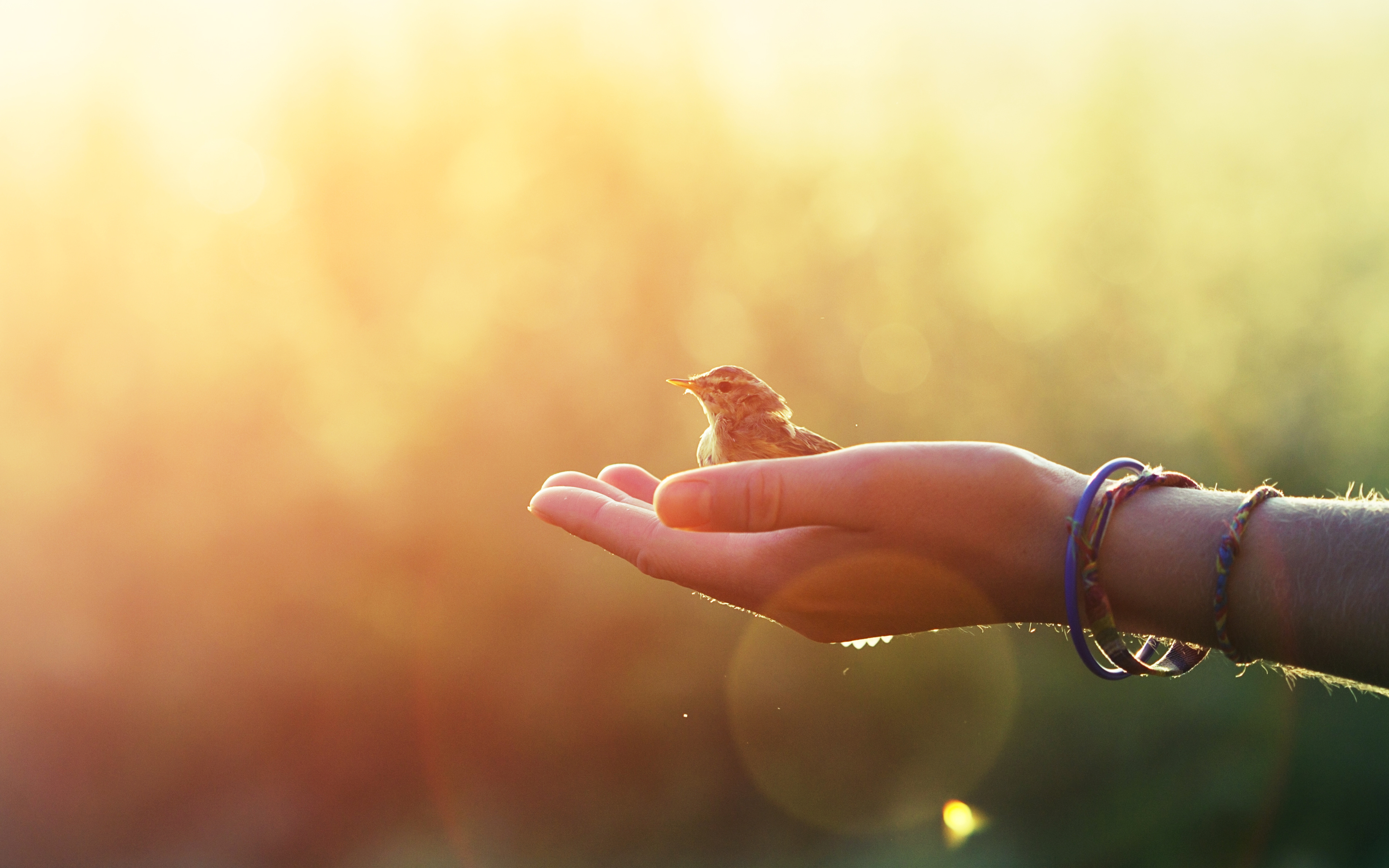 The Light Touch of Allowing