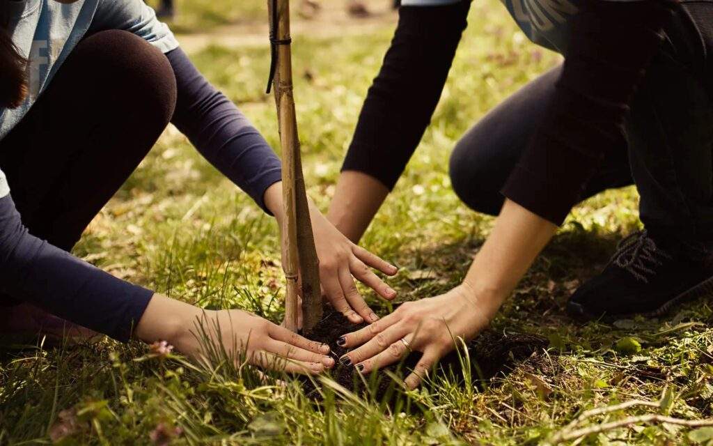 Two people mindfully plant a young tree together in grassy soil, their hands gently covering the roots—an act of community and climate action.