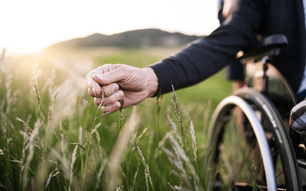 A Guided Meditation to Awaken the Flow of Gratitude in Nature