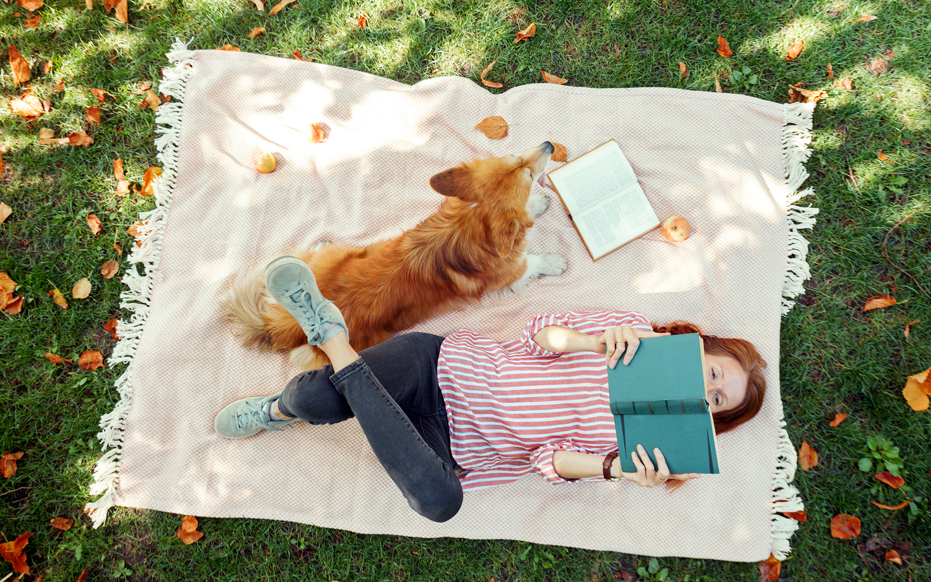 Boost your self-care with these new mindfulness books and podcasts - bright fun autumn. girl and dog Corgi lie on a plaid on the lawn and read books