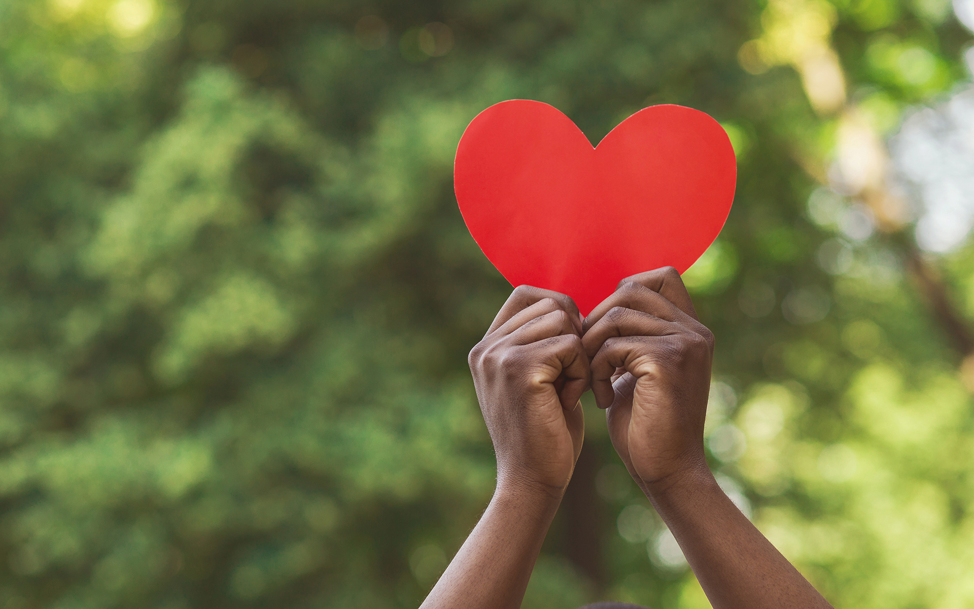 Guided Meditation: A Moment of Loving-Kindness - Love, charity and kindness concept. African-american millennial guy holding red paper heart on green nature background, empty space