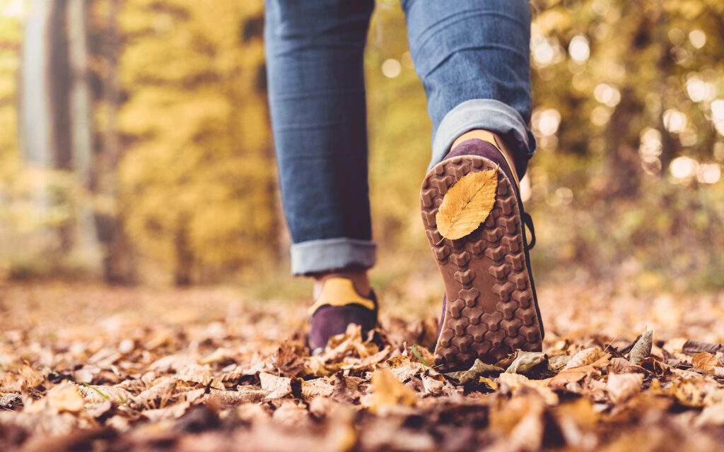 How Walking In the Woods Helped Ease My Anxiety