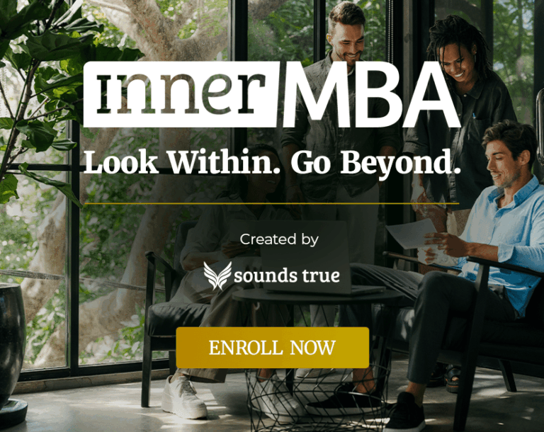 The Inner MBA by Sounds True