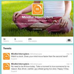 Follow Mindful Interrupters on Twitter