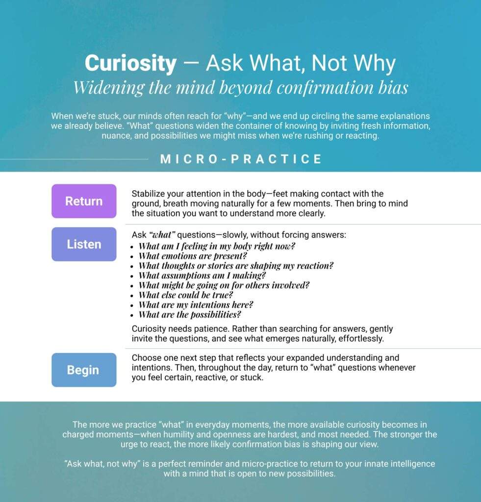 Blue infographic titled Curiosity—Ask What, Not Why, sharing a mindfulness micro-practice to help manage emotional burnout: Begin, Return, Select.