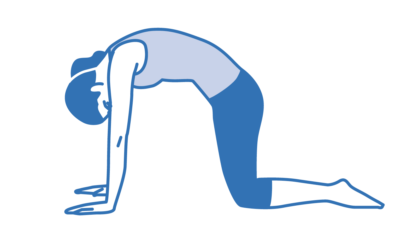 Stylized Sketch Yoga Poses Vector Illustration Stock Vector (Royalty Free)  179659049 | Shutterstock