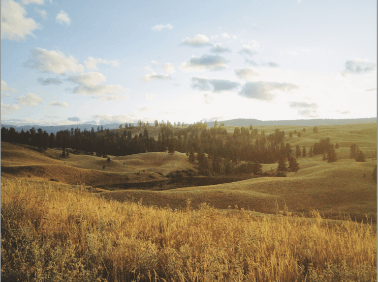 Silent Meditation Retreat
