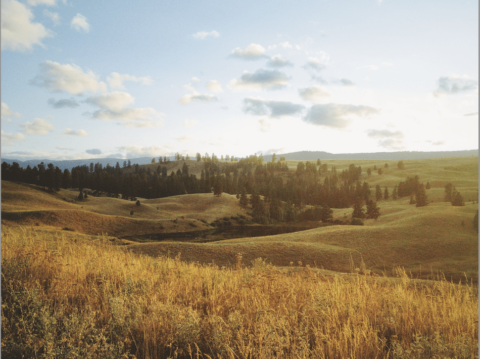Silent Meditation Retreat