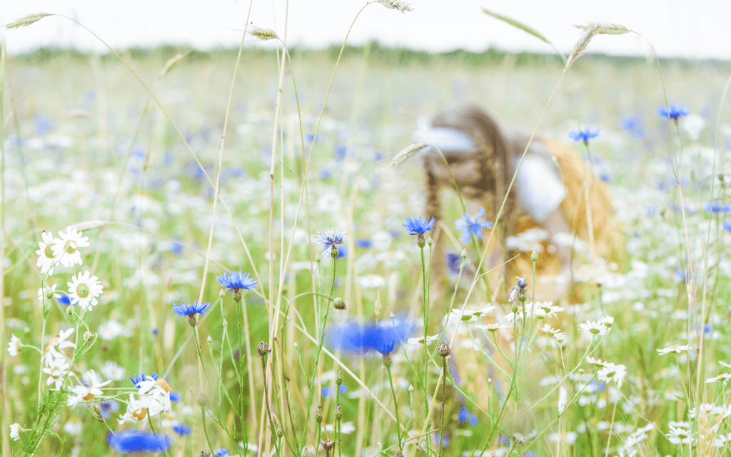 The Mindful Art of Foraging