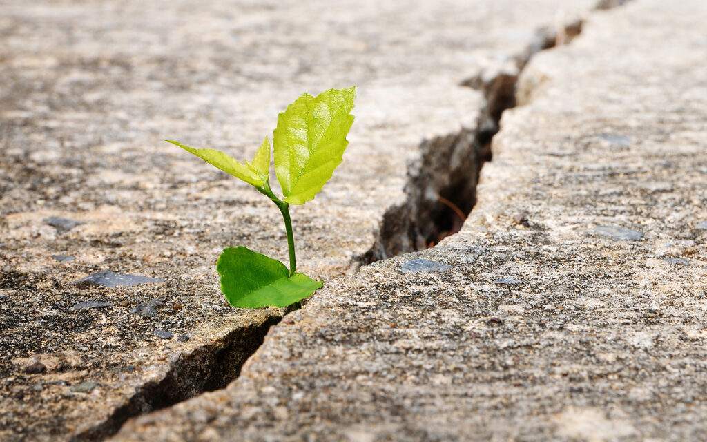 There is a Crack in Everything, That’s How the Light Gets In Mindful