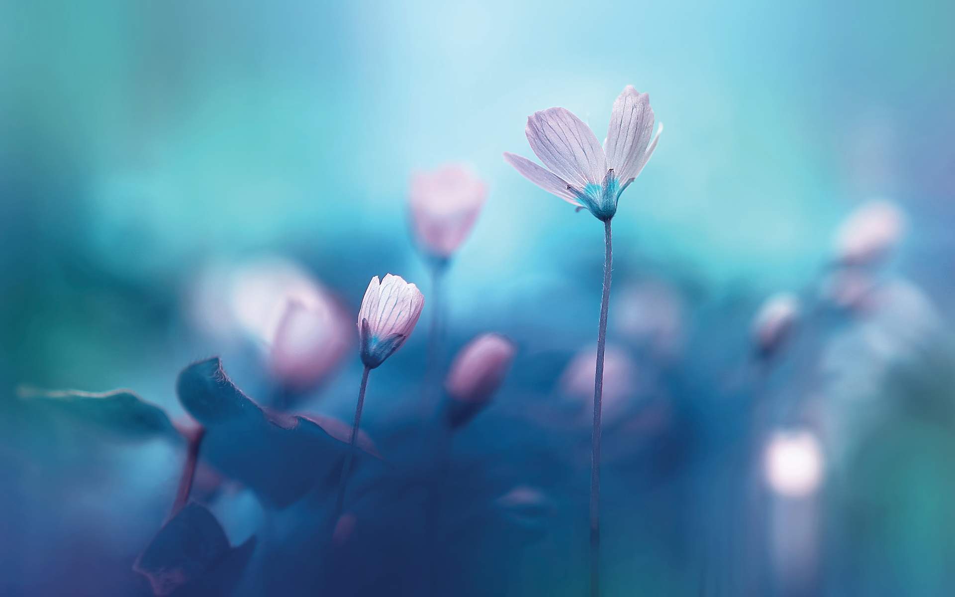 Try This Self-Guided Meditation Retreat for Rest and Restoration
