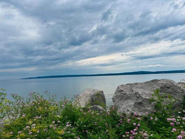 Our readers tell us what self-trust means to them.