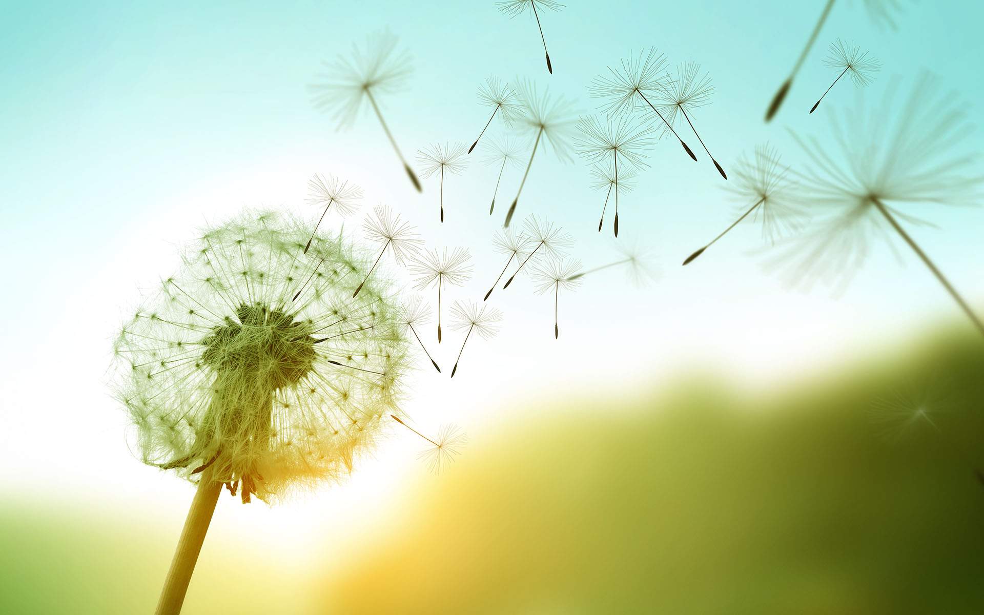 What Does It All Mean Mindful