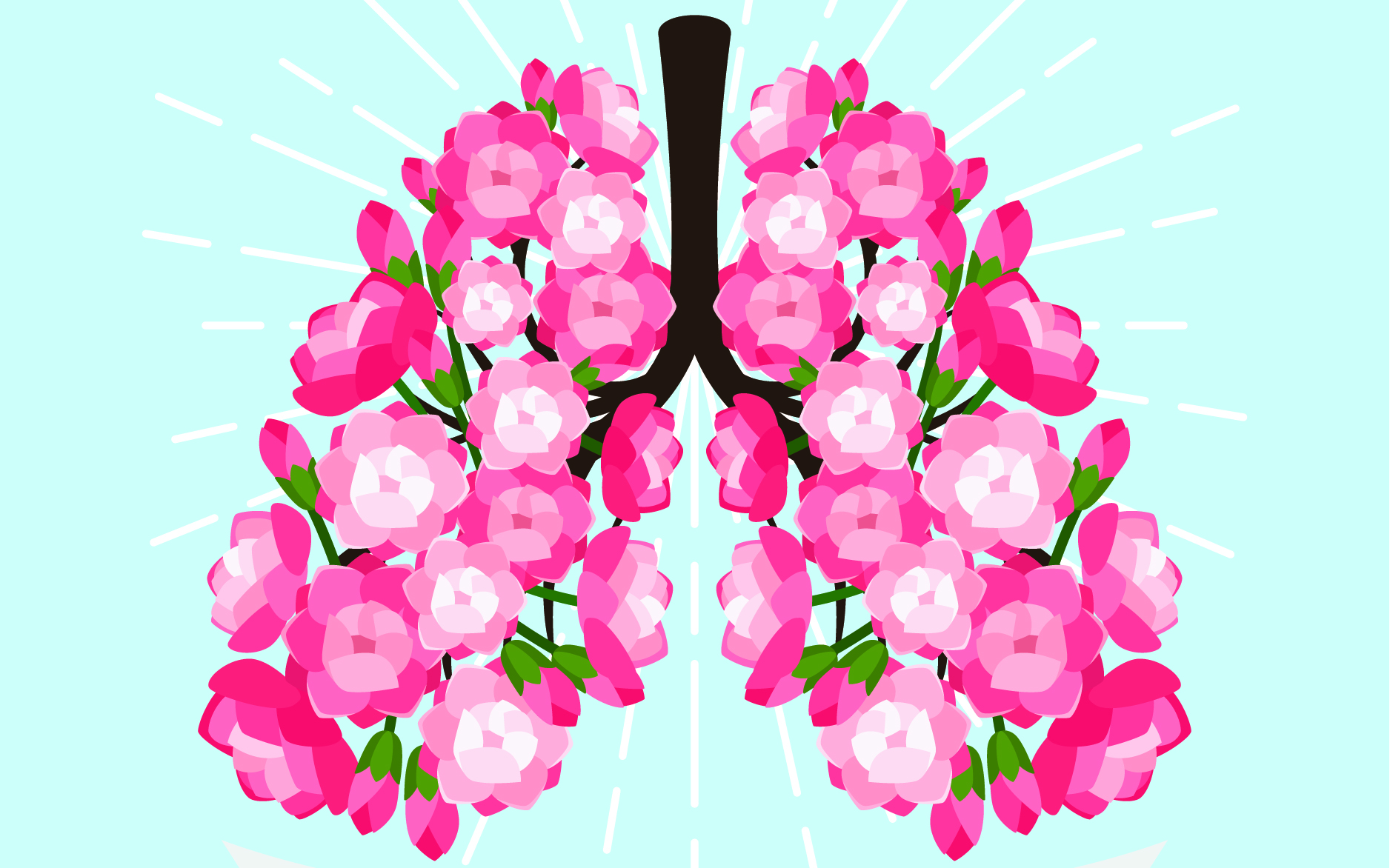 Blooming lungs - meditation begins with the breath