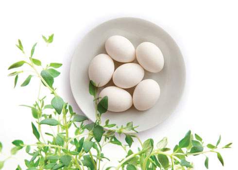 A white bowl containing six white eggs is placed on a white background. Fresh green sprigs of herbs are arranged around the bowl, adding a touch of natural color to the scene.