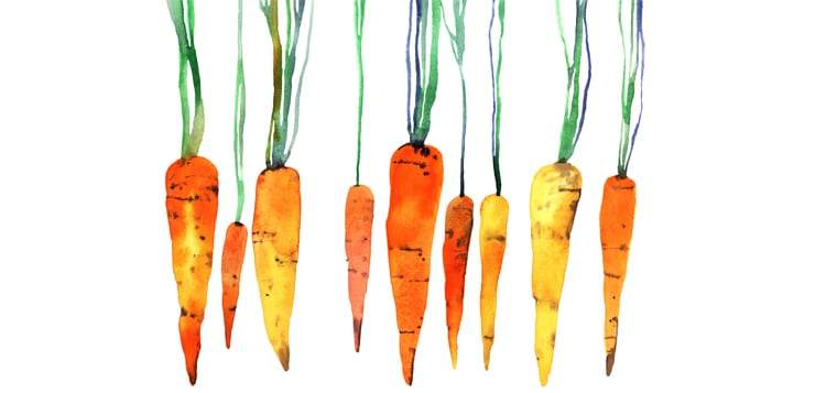 watercolor of carrots. mindful eating