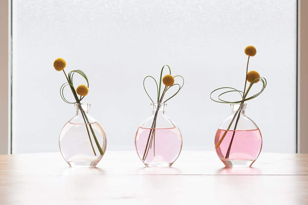 three glass bottles with flowers in them, minimalist