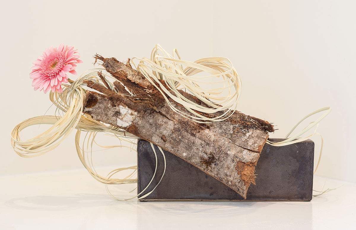 log with flower and palm buds. a vivid display