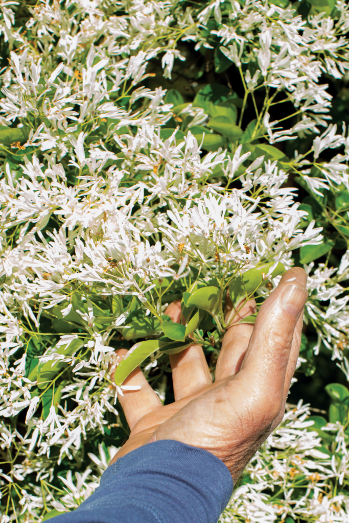 African-American teenage girls.  GreenFuse Photos: Garden, farm