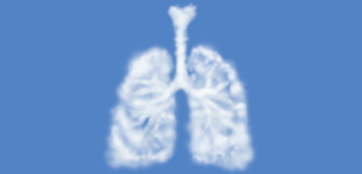 lungs illustration