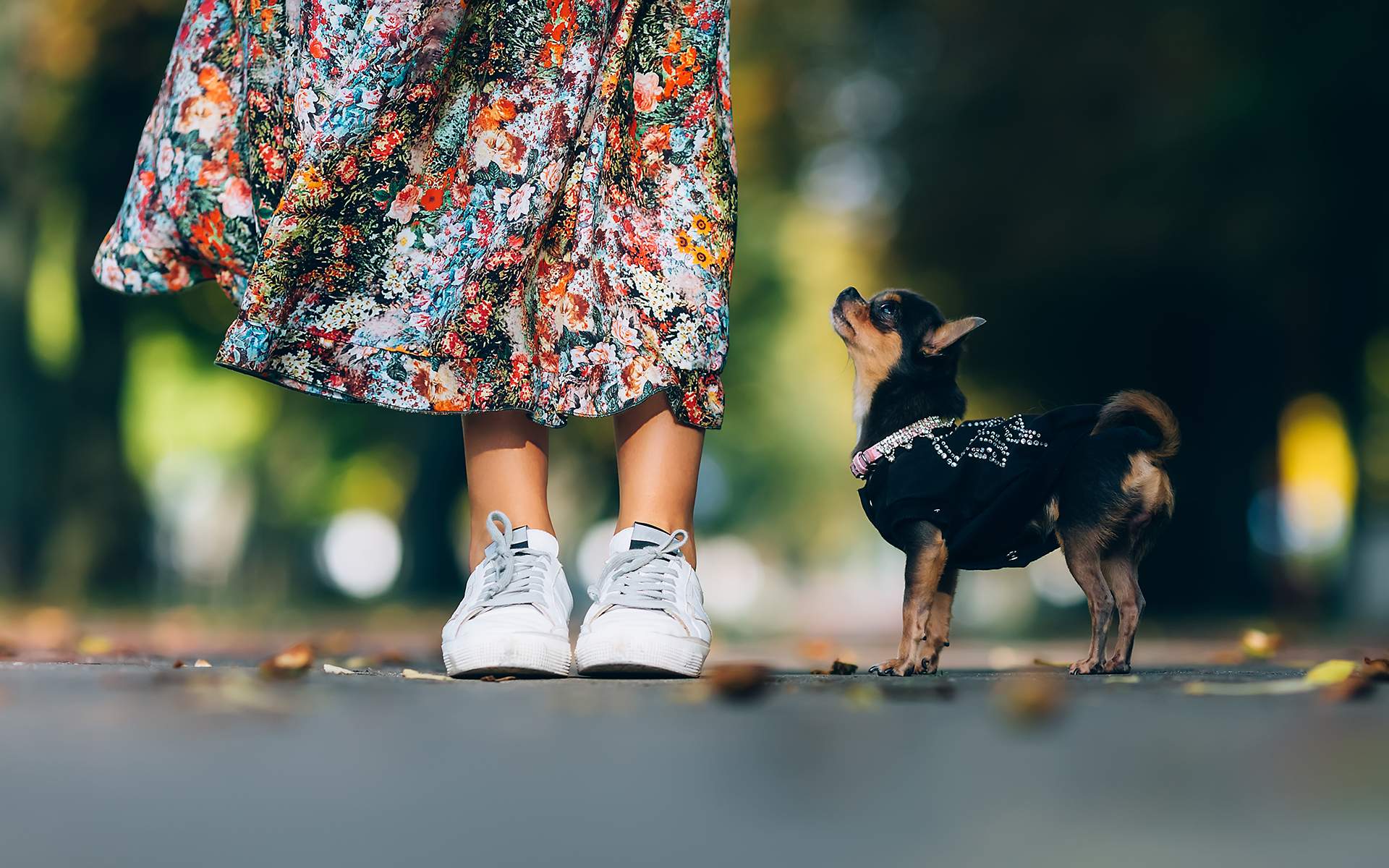 A Guided Meditation to Meet Uncertainty with Compassion - Outdoor lifestyle portrait of pretty smiling female and her small dog.