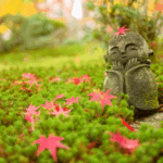 Garden Meditation: A Simple Outdoor Practice for Presence and Awe
