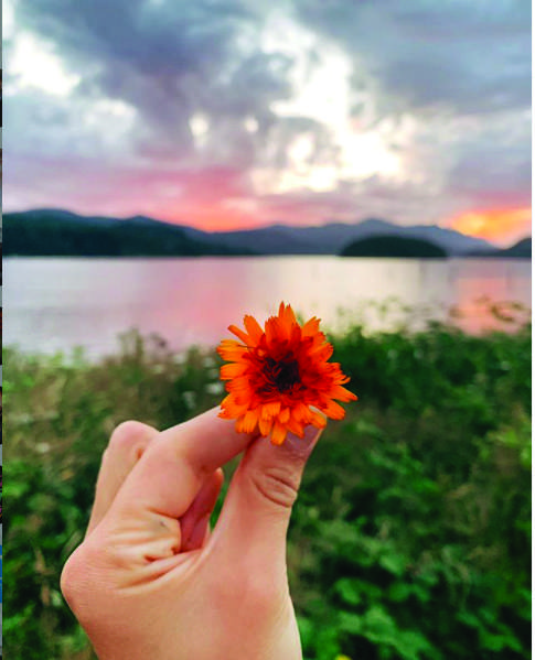 What pops into your mind when you're meditating?-hand holding up orange flower in font of summer sunset