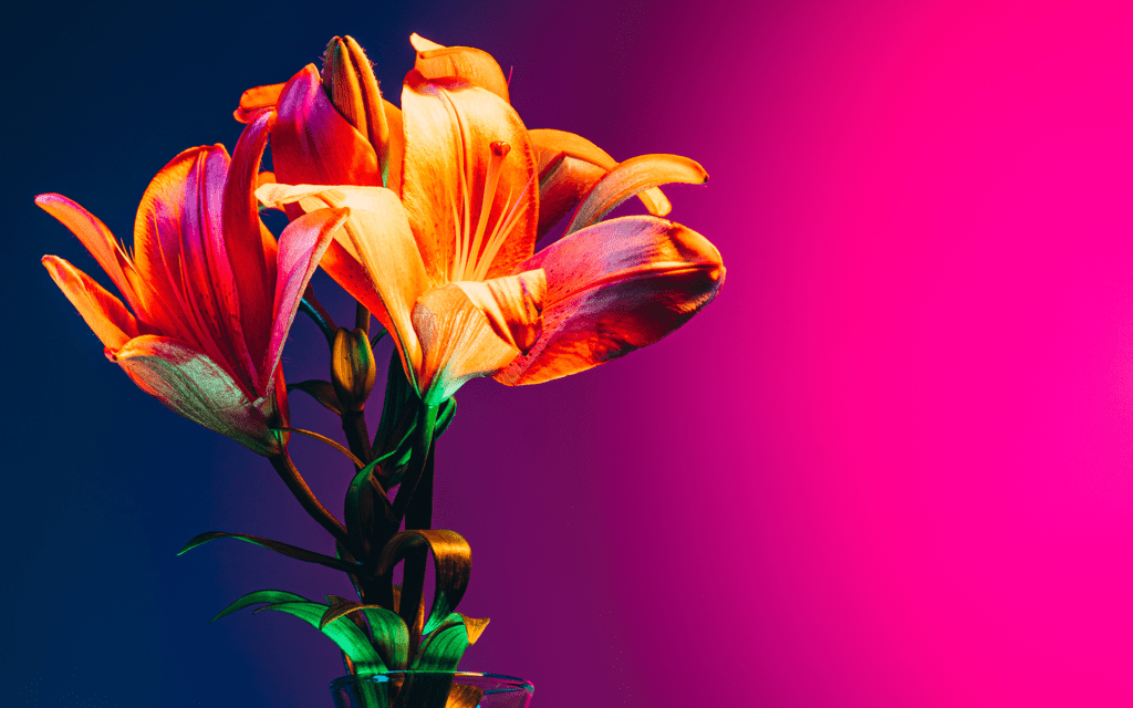 A Mindful Guide to Navigating Difficult Emotions