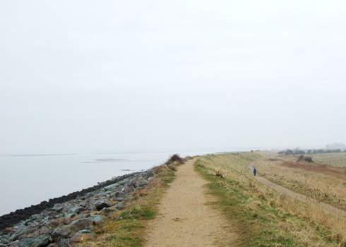 A narrow, dirt path runs along a water body and stretches into the misty distance. The path is flanked by grass and a rocky shore on one side. A person in the distance is walking along the path. The sky is overcast, creating a subdued and serene atmosphere.