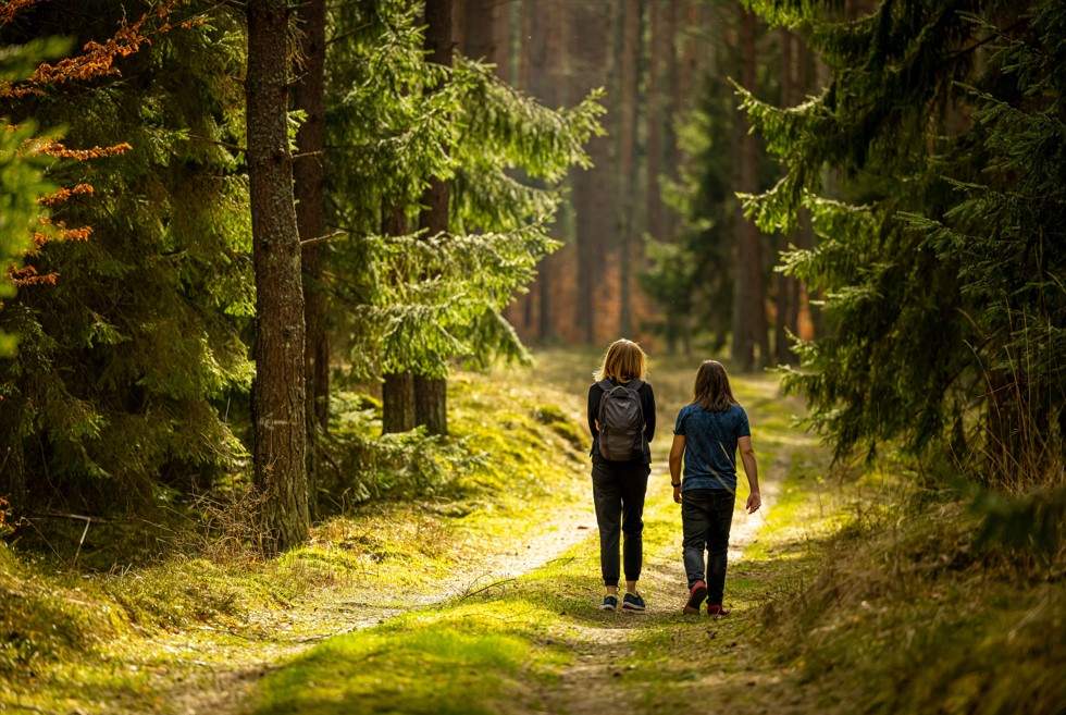 Two young people viewed from the back, walking down a lush sun-dappled forest path