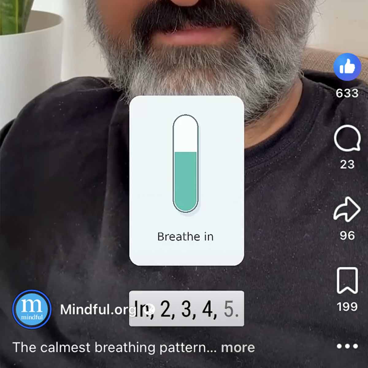 Shamash Alidina collaboration post