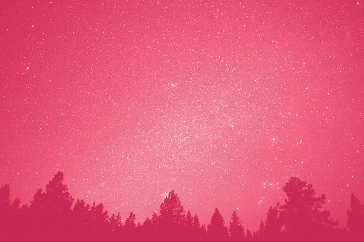 Stars in night sky